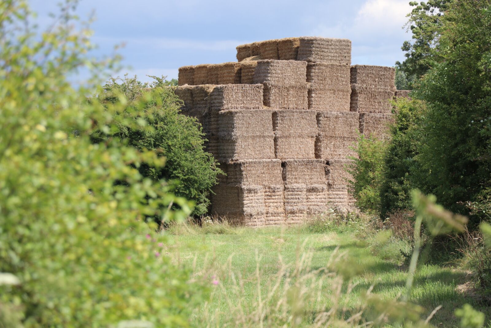 Canon EF-S 18-135mm F3.5-5.6 IS USM sample photo. Haystacks, hay, straw bales photography