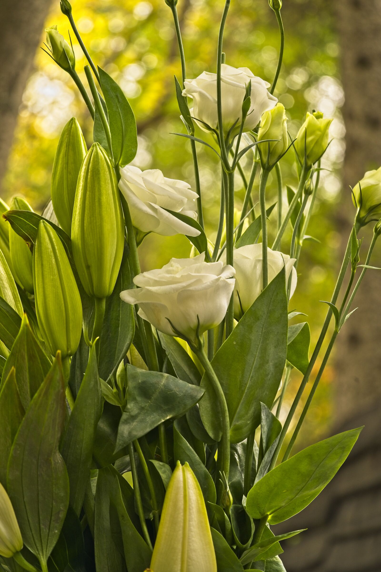 Sony a7 III sample photo. Flowers, lily, oriental lilies photography