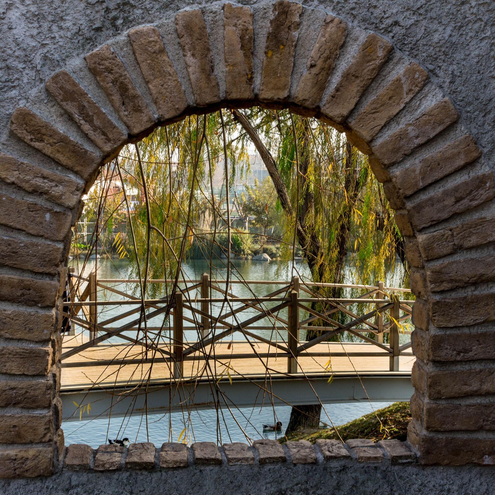 Canon EOS 700D (EOS Rebel T5i / EOS Kiss X7i) sample photo. Window, nature, green photography