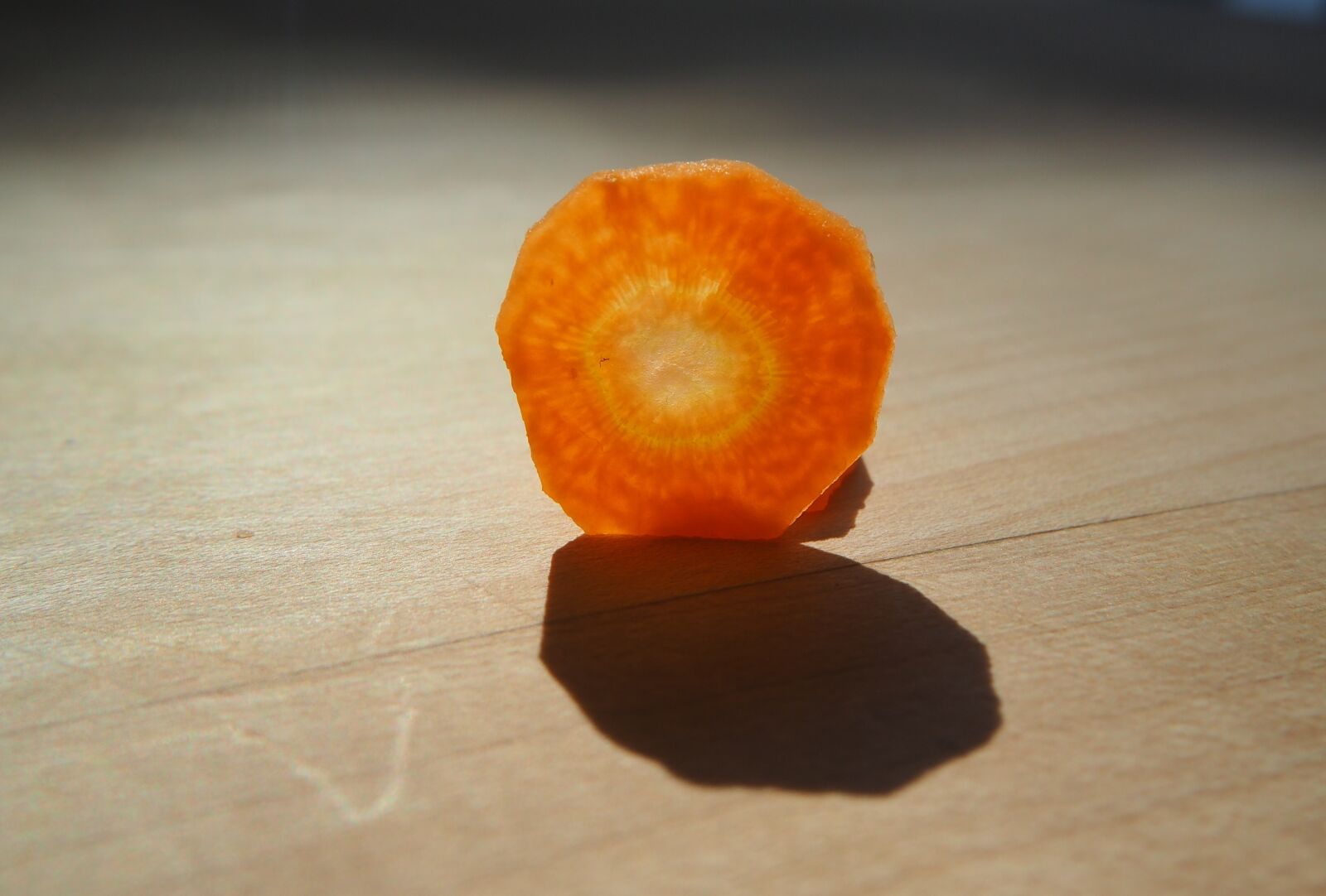 Olympus OM-D E-M10 sample photo. Carrots, carrots disc, disc photography