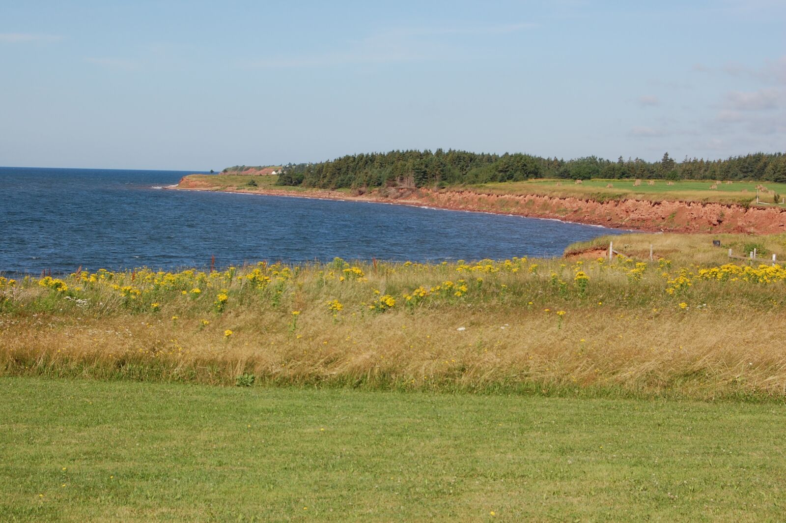 Nikon D40 sample photo. Coastline, prince edward island photography