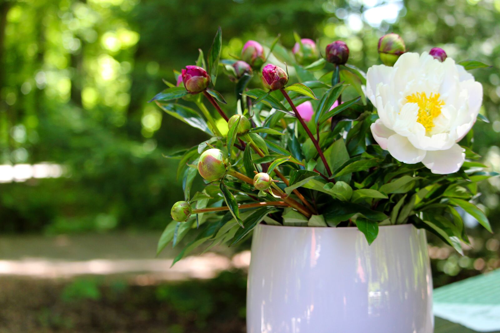 Canon EF-S 55-250mm F4-5.6 IS STM sample photo. Bouquet, vase, peony photography