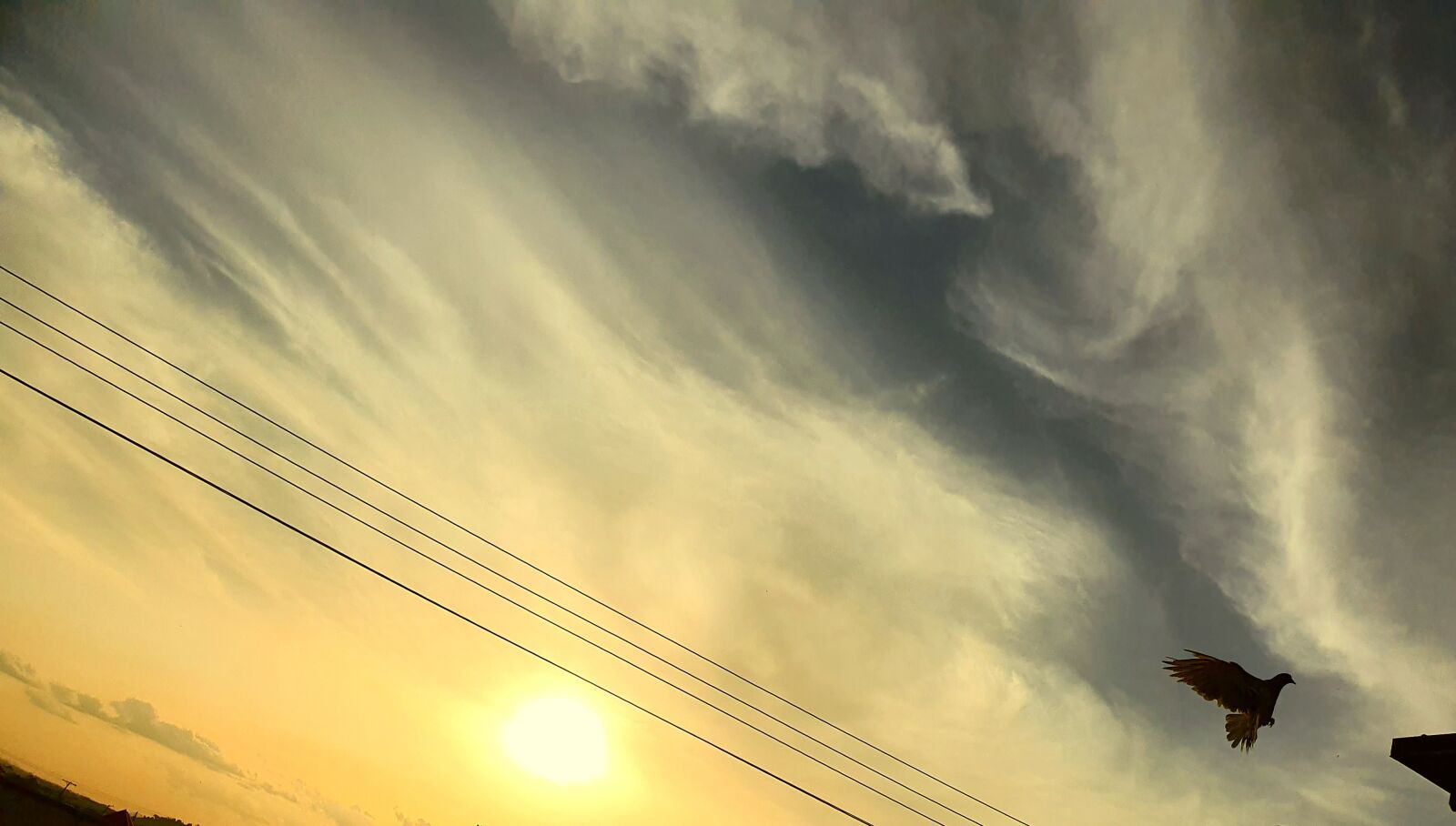 Samsung Galaxy S10 sample photo. Sky, sun, nature photography