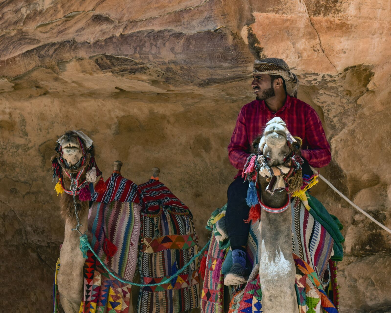 Nikon D3300 sample photo. Camels, camelliers, al siq photography