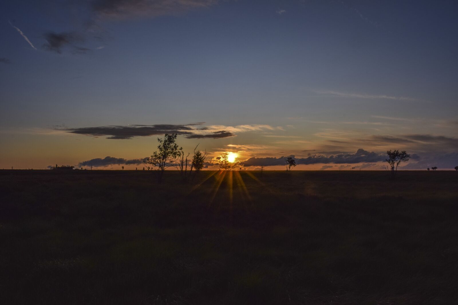 Nikon D3300 sample photo. Nature, landscape, moor photography
