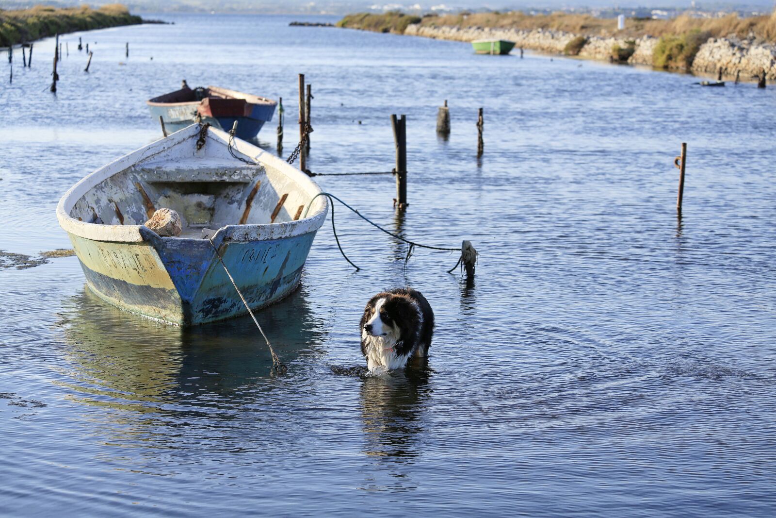 Canon EOS 5D Mark III sample photo. Boat, water, pond photography