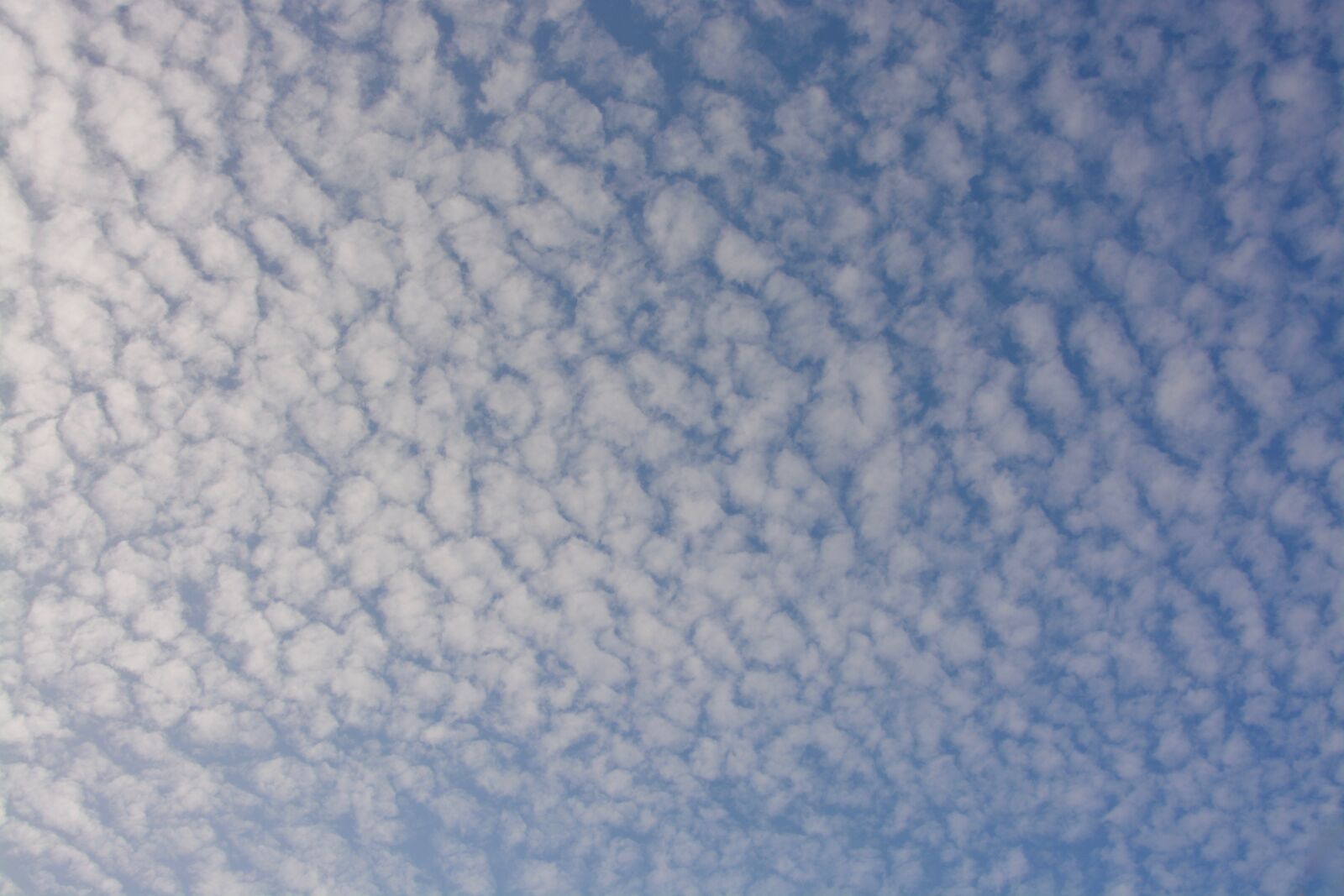 Nikon D5200 sample photo. White clouds, clouds, sky photography
