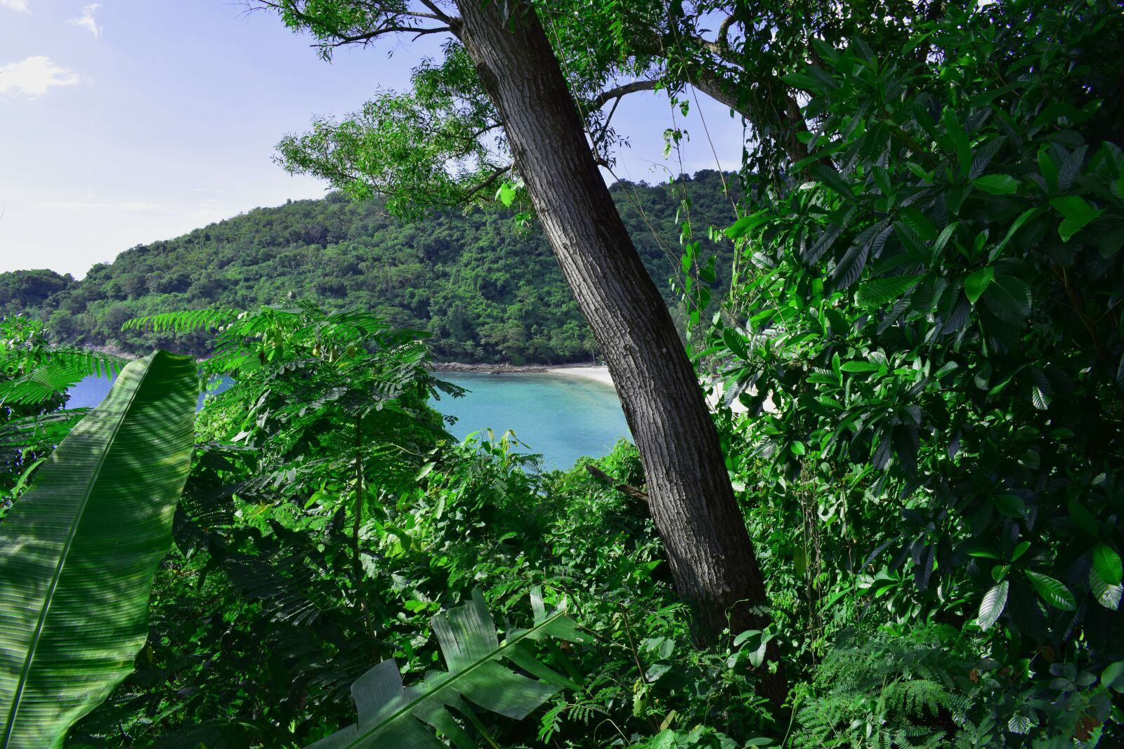 Nikon D5300 sample photo. Thailand, nature, sea photography