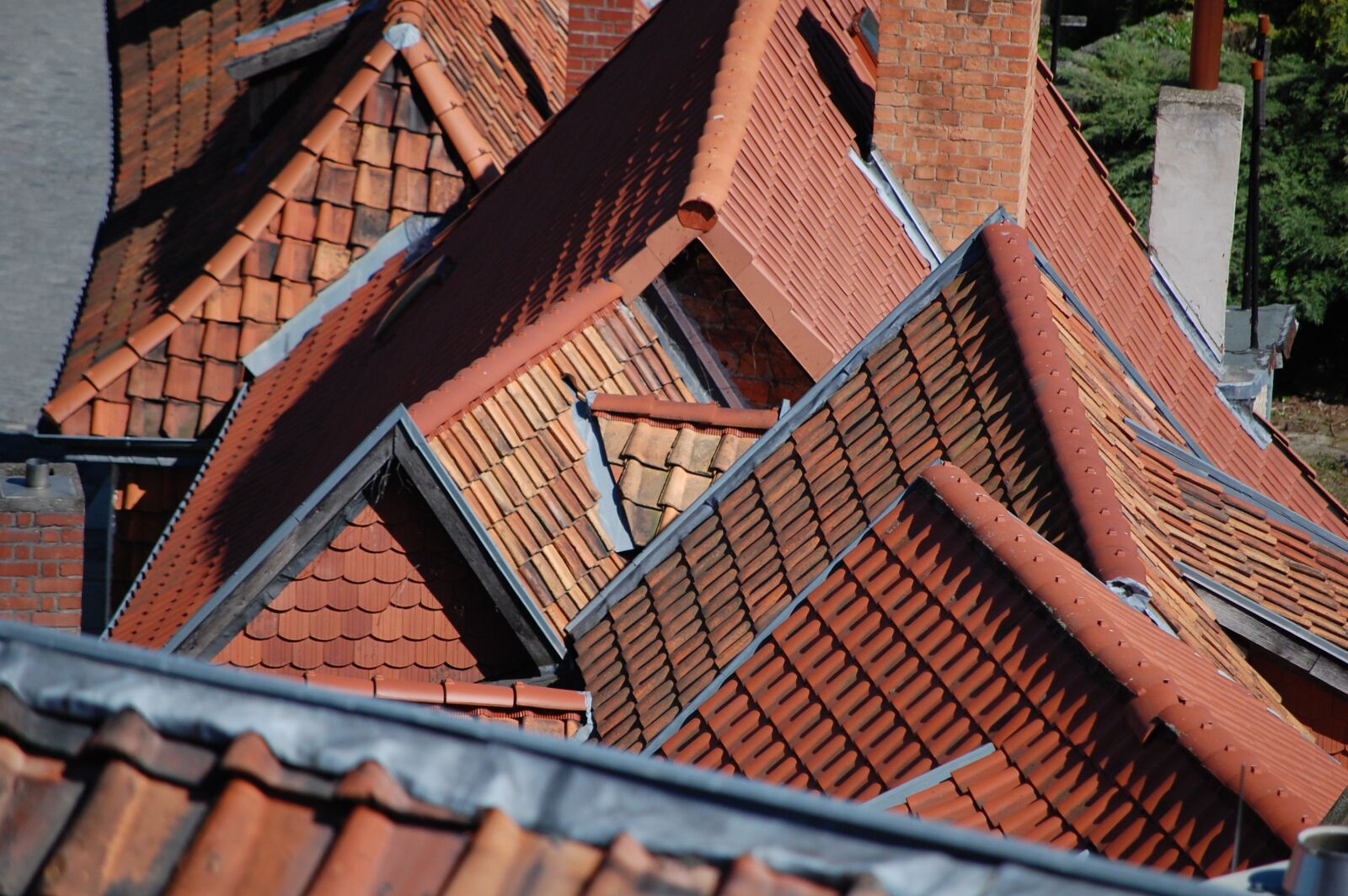 Nikon D40 sample photo. Roofs, sea of houses photography