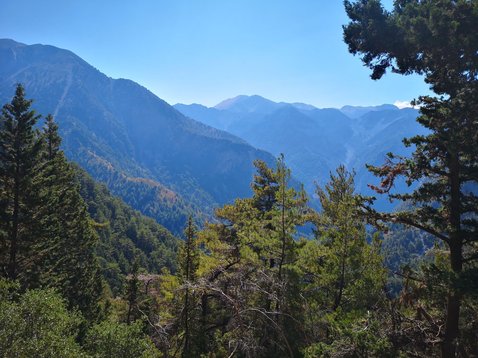 HUAWEI CLT-L29 sample photo. Mountains, sky, trees photography