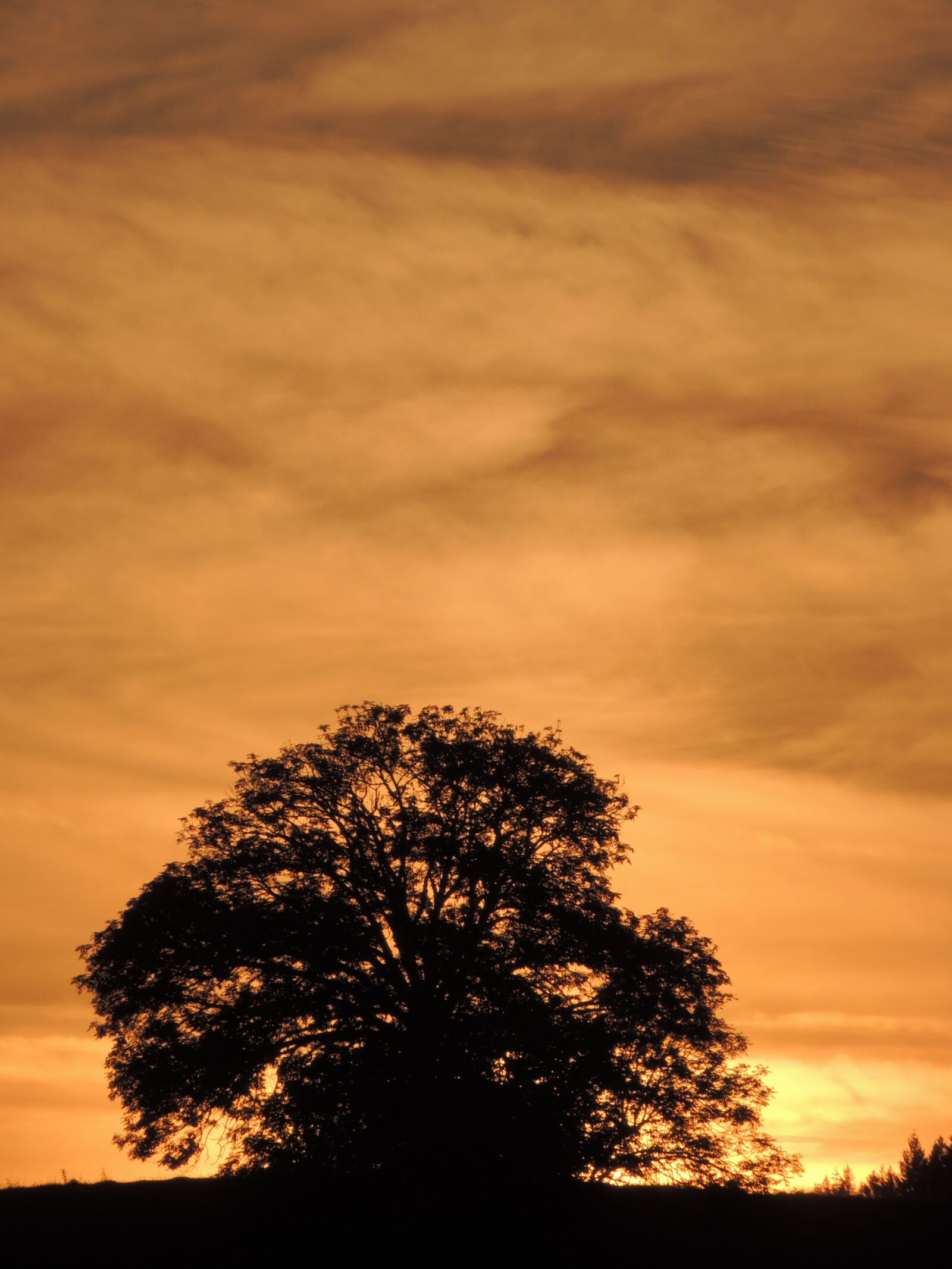 Nikon Coolpix P510 sample photo. Sunset, sun, mardore photography