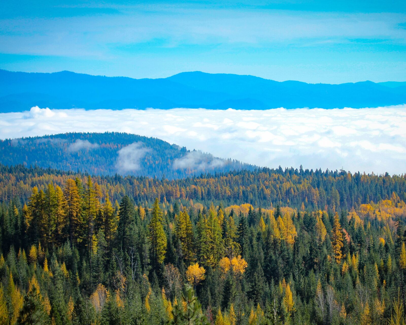 Canon EOS 550D (EOS Rebel T2i / EOS Kiss X4) sample photo. Northeast washington, fall, fall photography