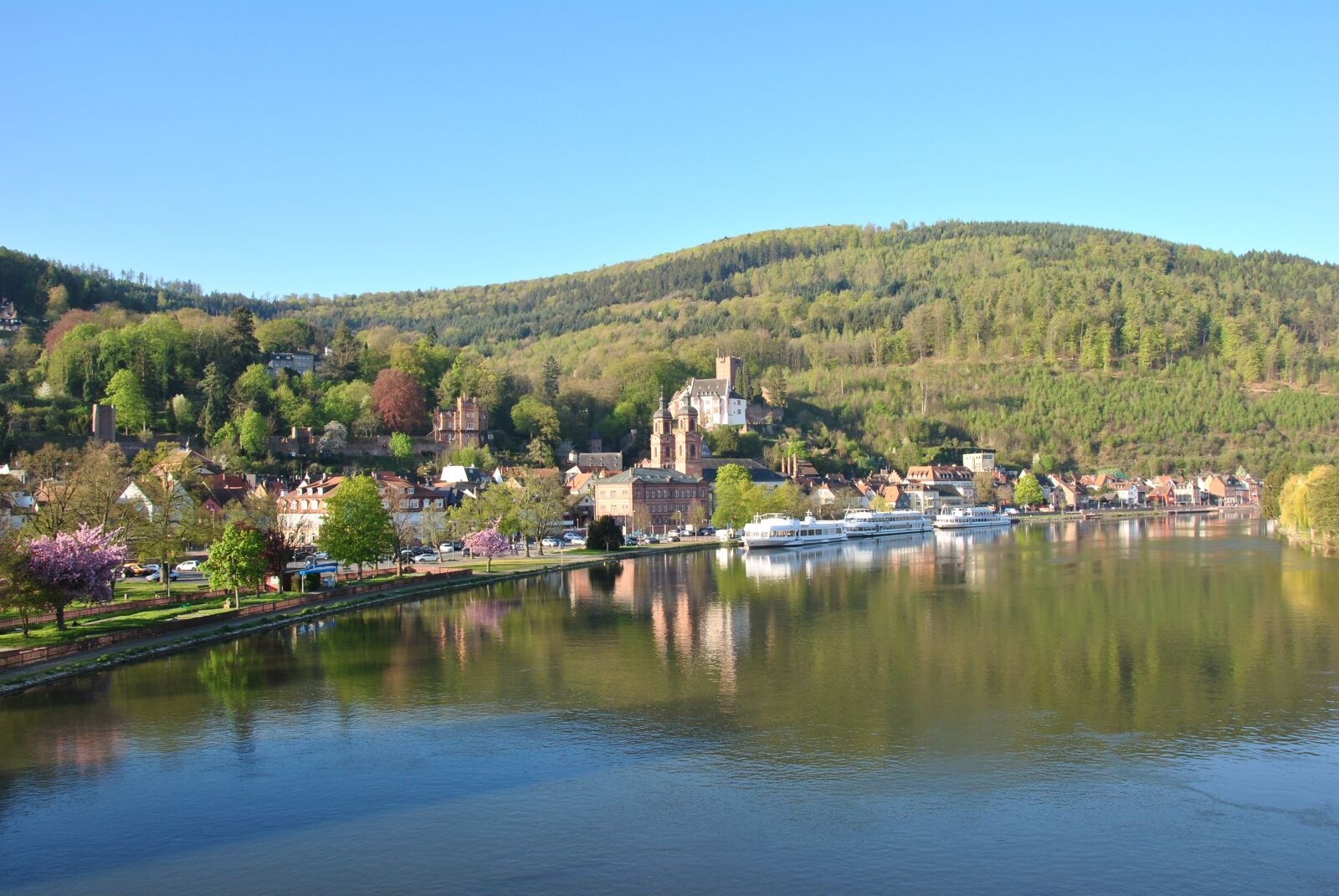 Nikon D3000 sample photo. Miltenberg, main, odenwald photography