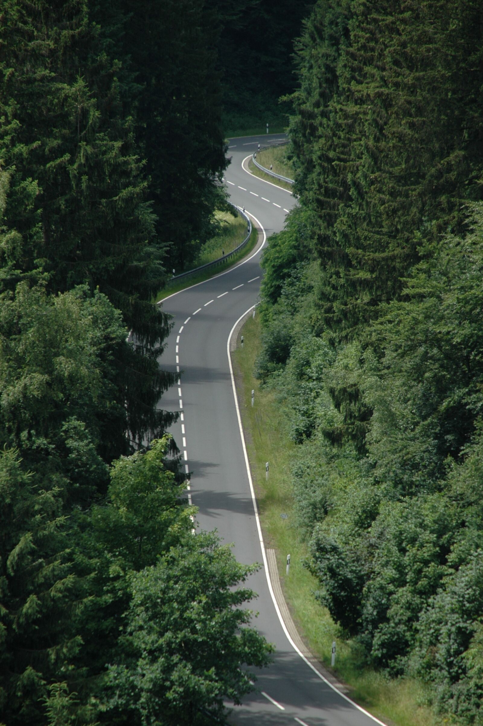 Nikon D70s sample photo. Serpentine, road in the photography