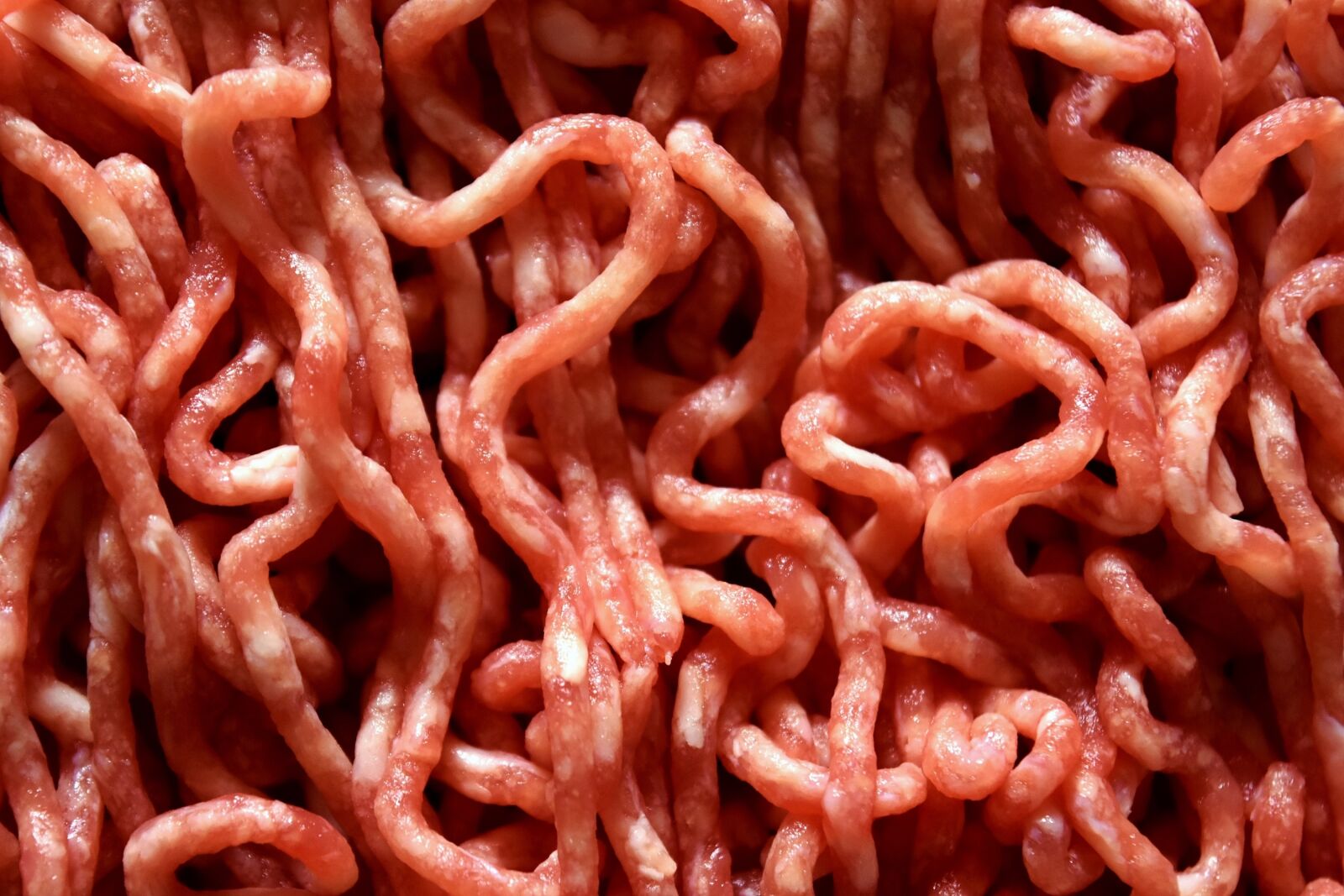 Nikon D7200 sample photo. Minced meat, meat, food photography