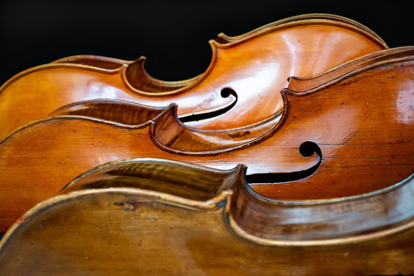 Nikon D5600 sample photo. Cello, trio, the meaning photography