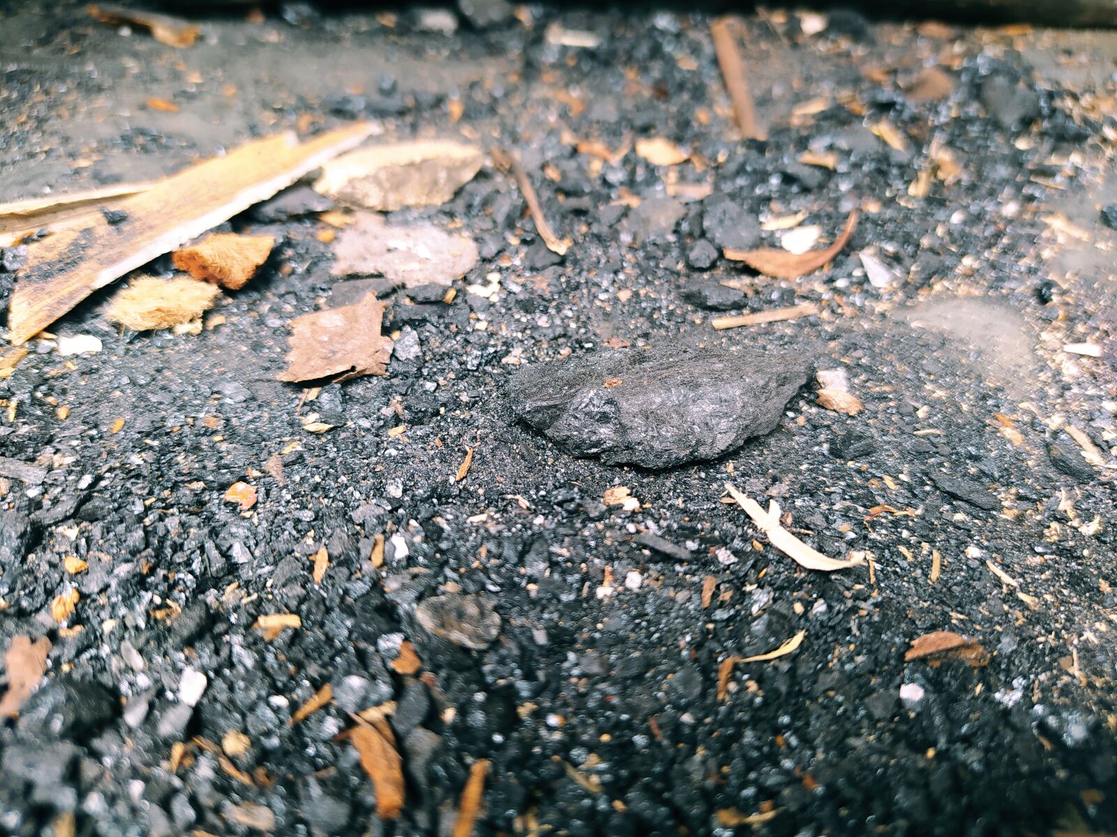 Xiaomi Redmi Note 8 sample photo. Coal, tree, jerk photography