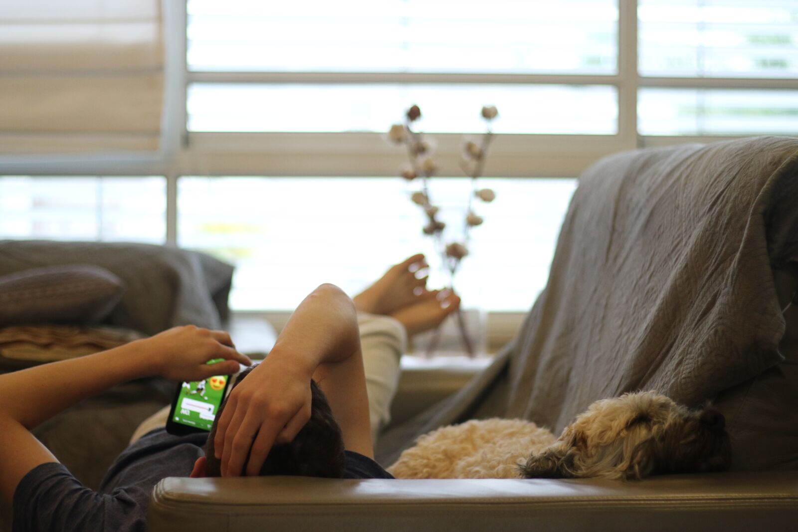Canon EOS 7D Mark II sample photo. Boy, dog, sofa photography