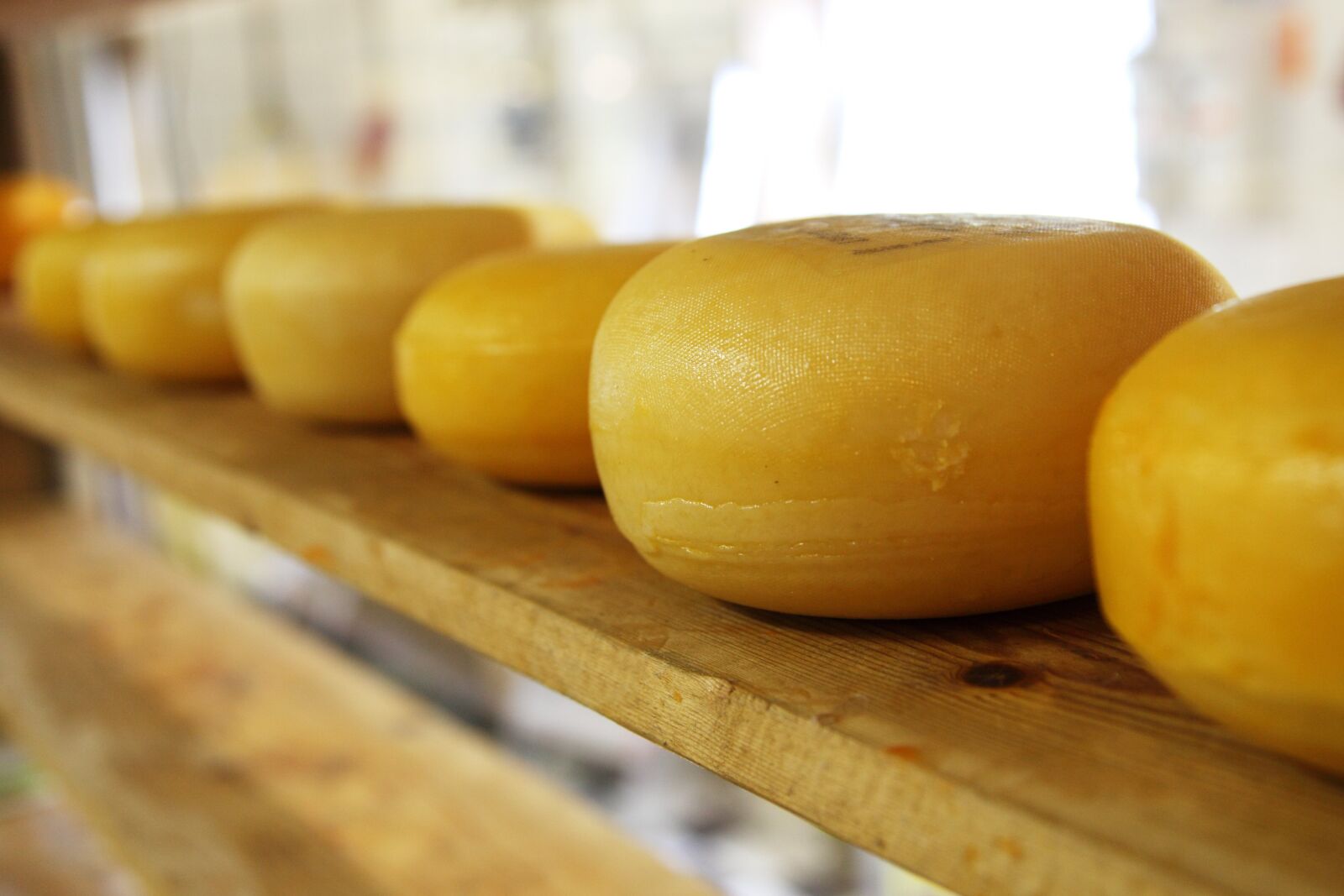 Canon EOS 5D Mark II sample photo. Cheese, circle, circular, dairy photography