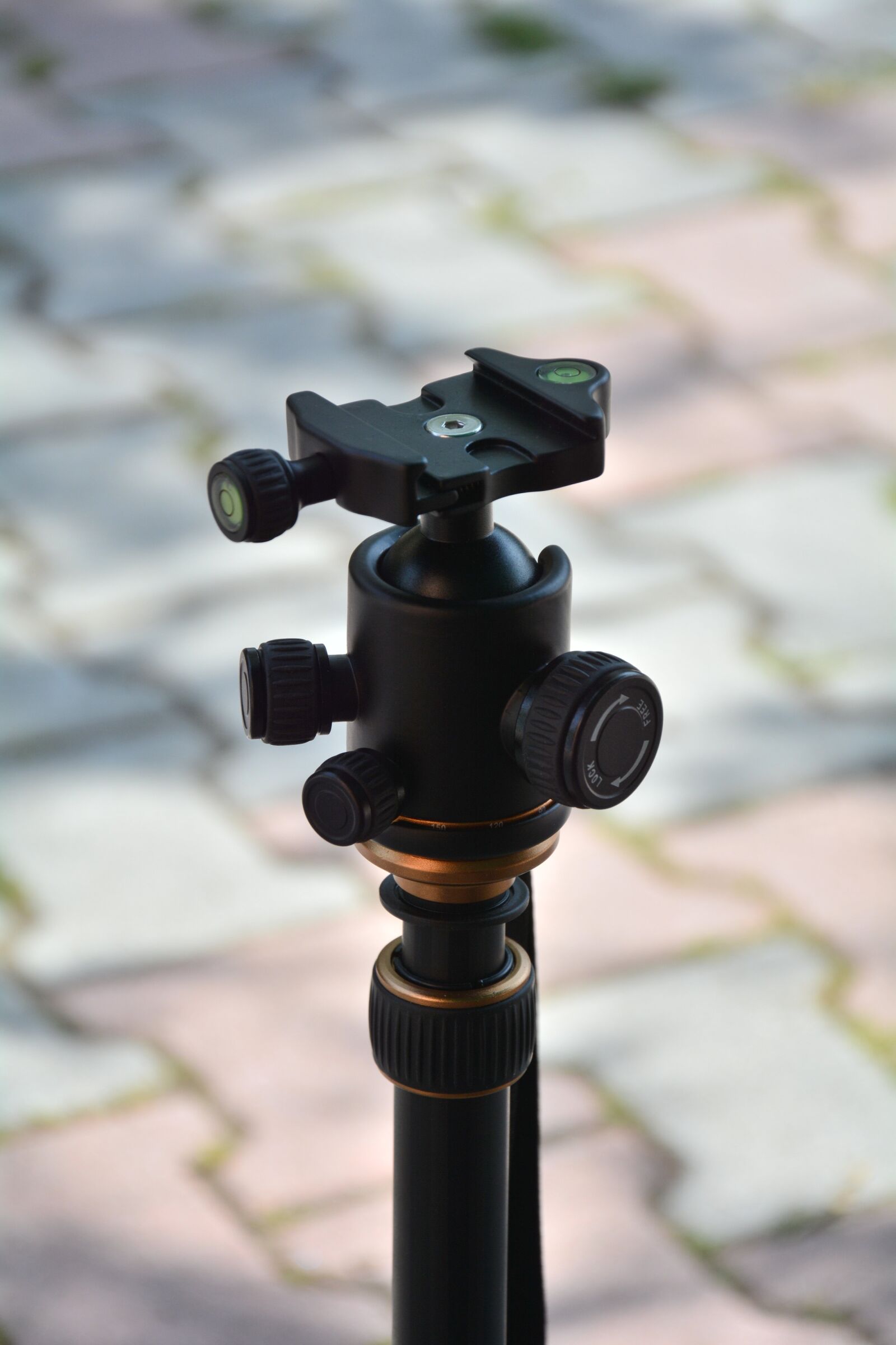 Nikon D7100 sample photo. Ball head, tripod, head photography