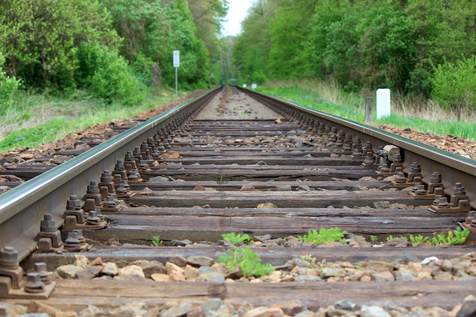 Canon EOS 1200D (EOS Rebel T5 / EOS Kiss X70 / EOS Hi) sample photo. Track, ties, rail photography
