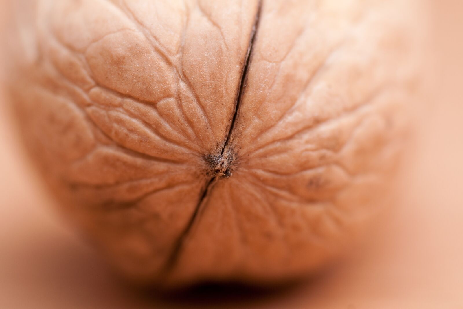 Sony Alpha DSLR-A700 sample photo. Walnut, walnuts, macro photography