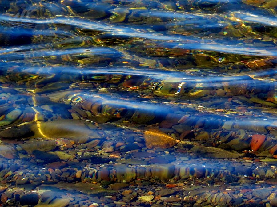 Есть в реке и озере. Вода река море. Река море океан. Реки в океане.