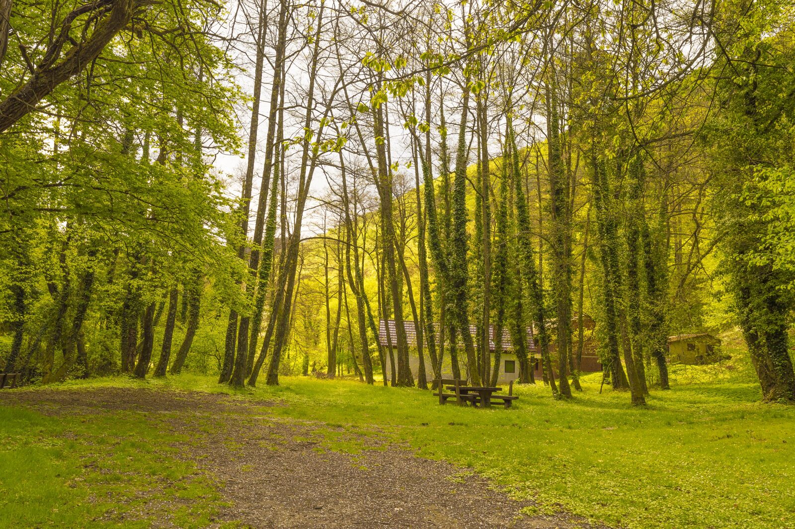 Nikon D3200 sample photo. Croatia, slavonia, velika photography