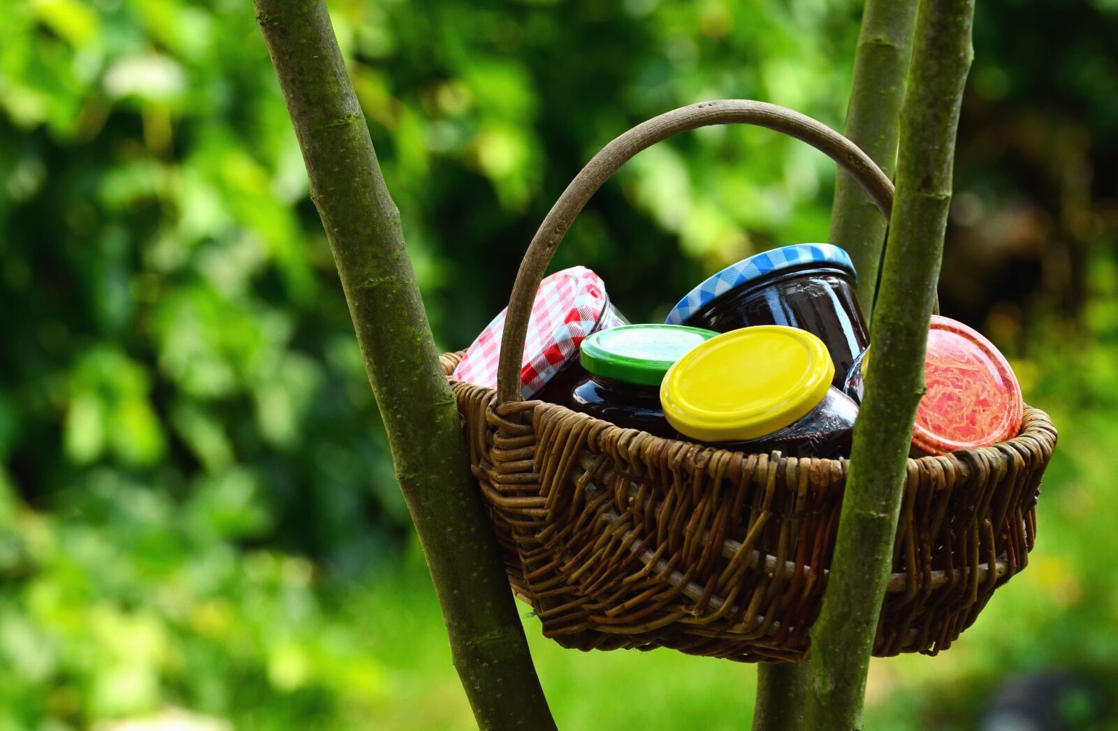 Nikon D5100 sample photo. Basket, jar, jam, nature photography