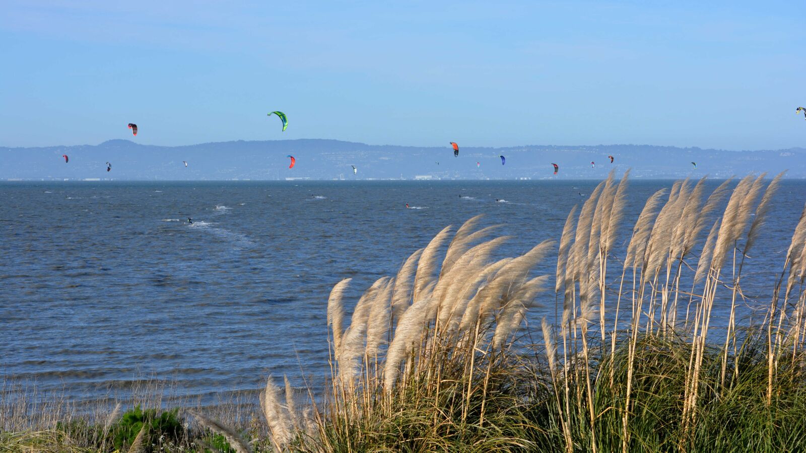 Nikon D5200 sample photo. Parasurfing, paragliding, san francisco photography