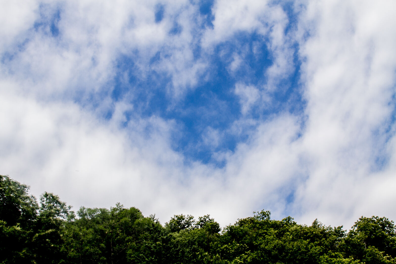 Canon EOS 7D sample photo. Blue, sky, cloud, cloudy photography