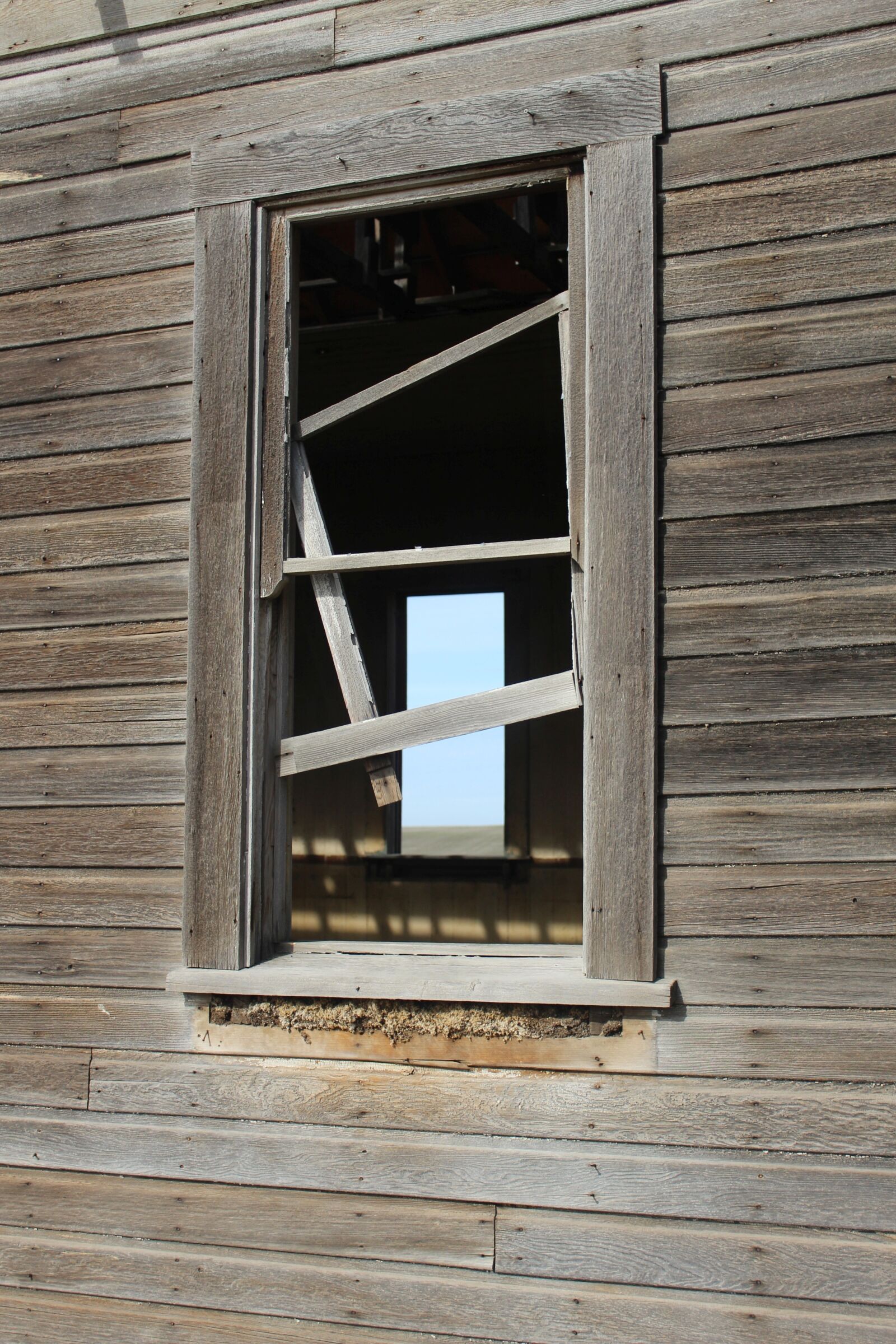 Canon EOS 1200D (EOS Rebel T5 / EOS Kiss X70 / EOS Hi) sample photo. Window, dilapidated, delapited photography