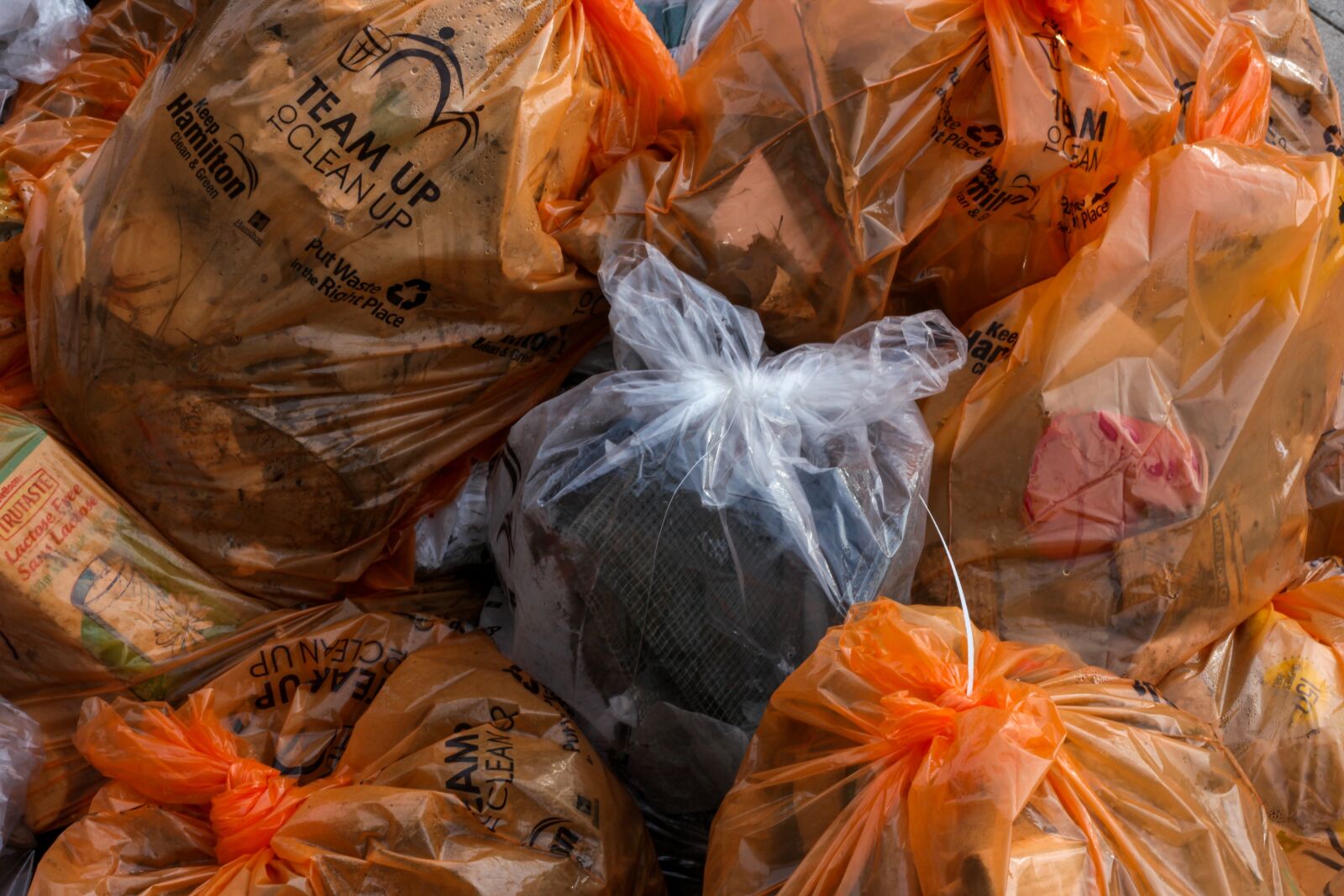 Canon EOS 5D Mark II sample photo. Cleanup, clean up, community photography