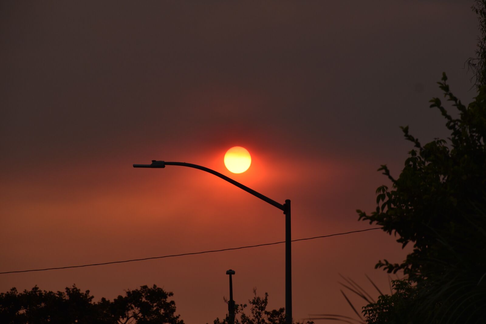 Nikon D3500 sample photo. Sun, heat wave, summer photography