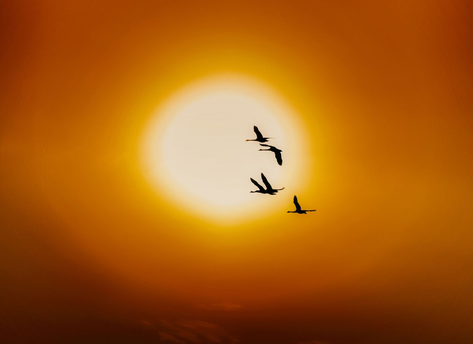 Nikon D750 sample photo. Sanmenxia city, swan sanmenxia photography