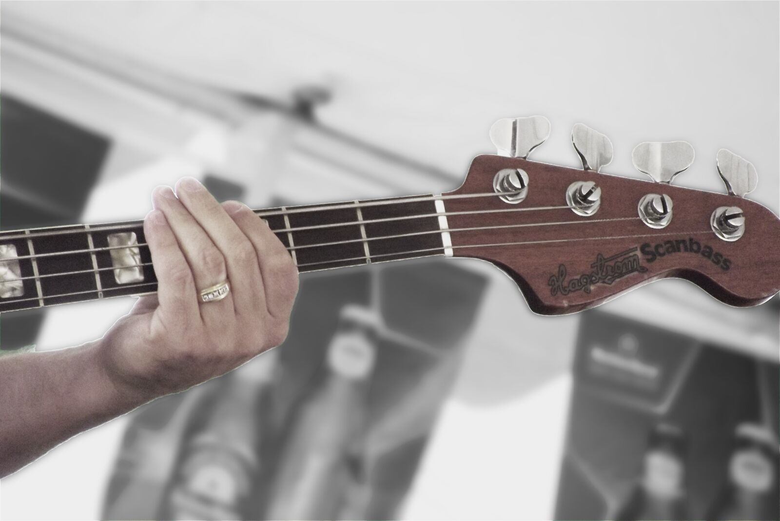 FujiFilm FinePix S2950 (FinePix S2990) sample photo. Bass, hand, music photography