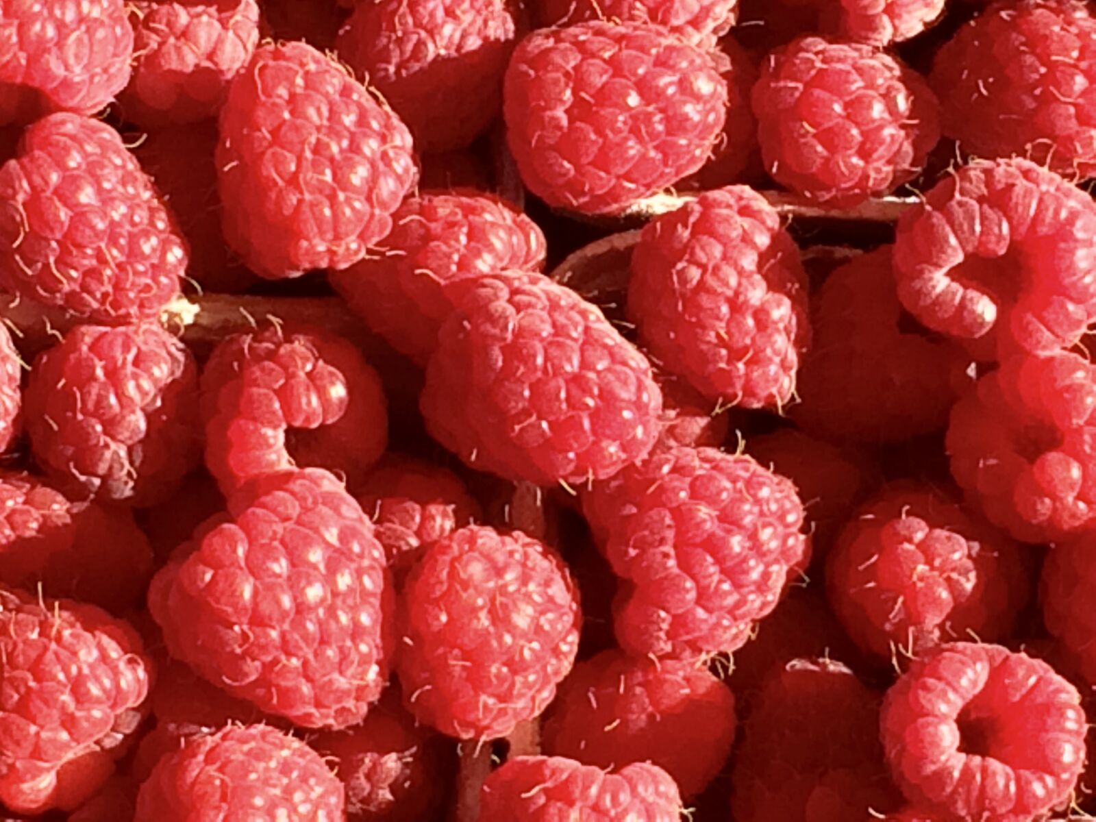 iPhone 5s back camera 4.15mm f/2.2 sample photo. Raspberry, fruit, berries photography