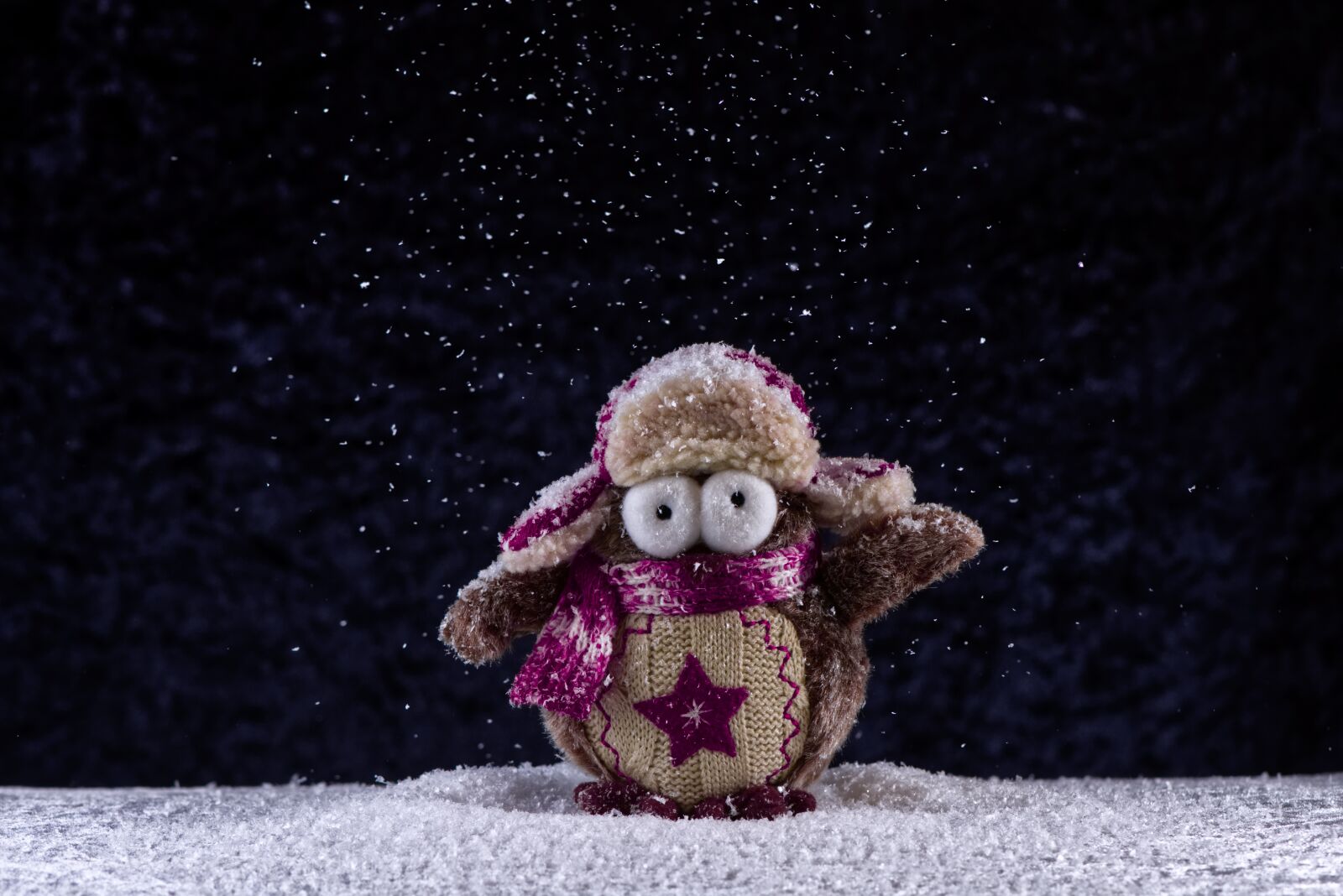Nikon D7200 sample photo. Owl, winter, snow photography