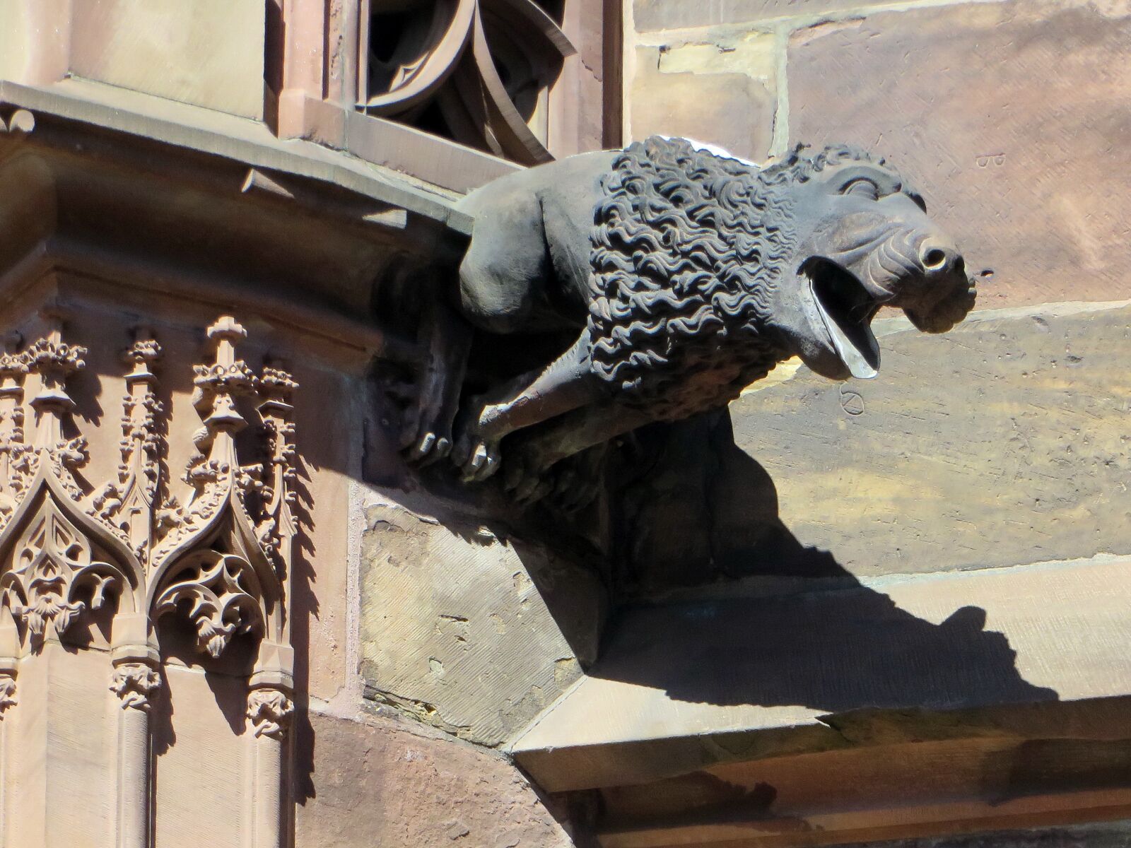 Canon PowerShot SX270 HS sample photo. Rstrasbourg, alsace, cathedral photography