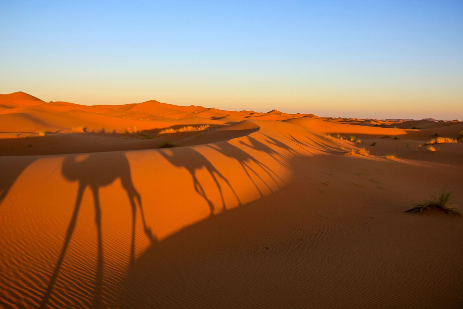 Canon EOS 550D (EOS Rebel T2i / EOS Kiss X4) sample photo. Morocco, desert, shadows photography