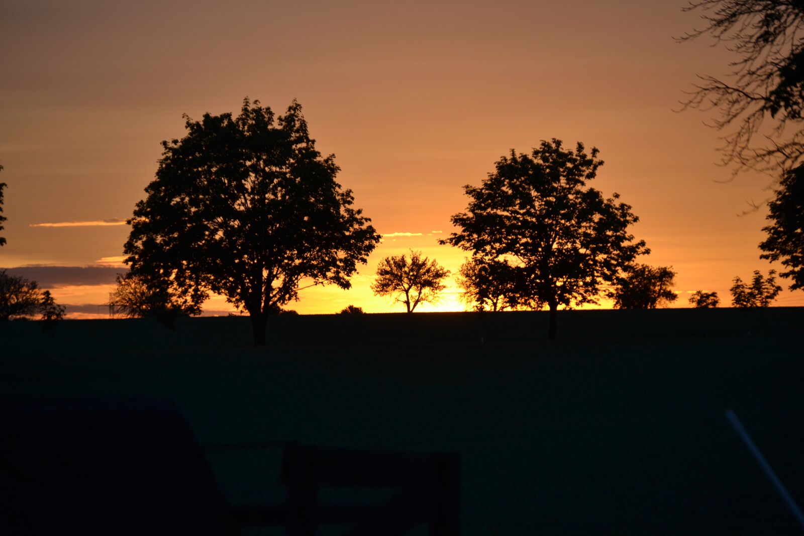 Nikon D3100 sample photo. Sunset, horizon, trees photography