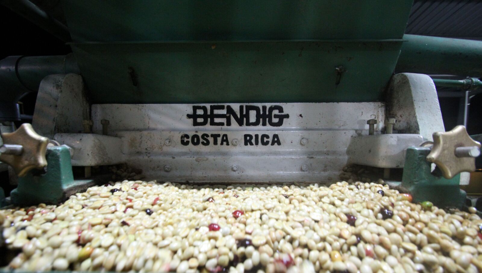 Canon EOS 600D (Rebel EOS T3i / EOS Kiss X5) sample photo. Washed coffee, wet processed photography