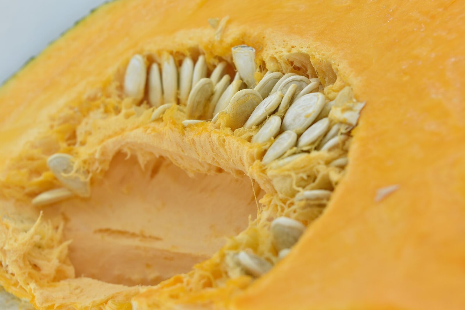 Nikon D5500 sample photo. Details, pumpkin seed, vegan photography