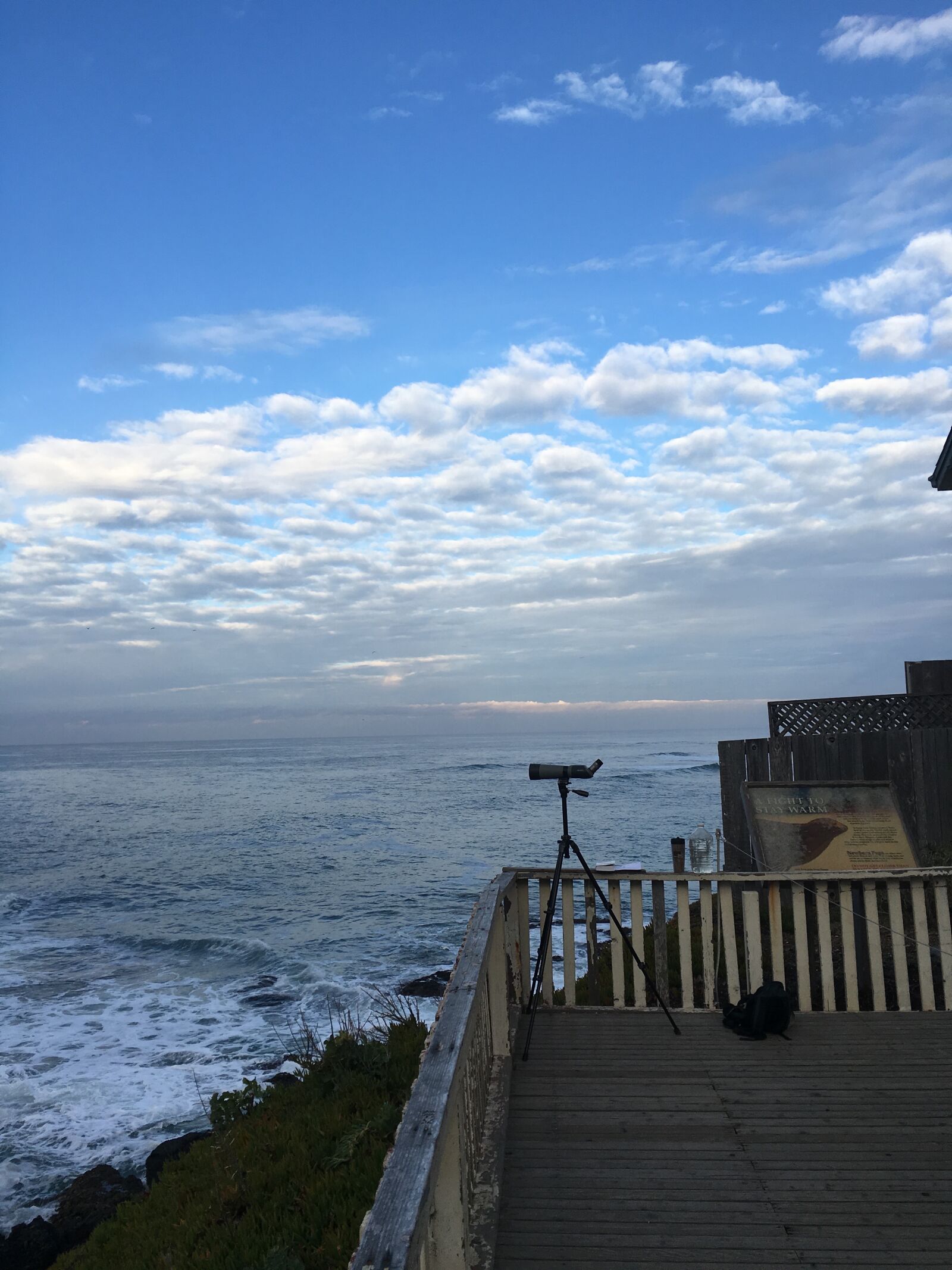 Apple iPhone 6s sample photo