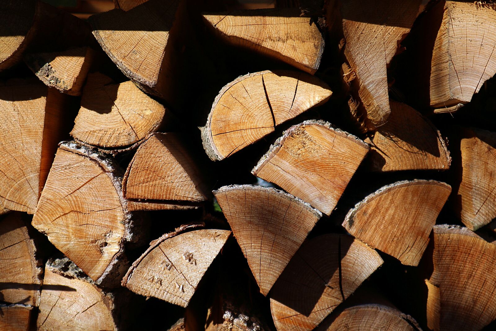 Canon EOS M100 sample photo. Wood, holzstapel, firewood photography