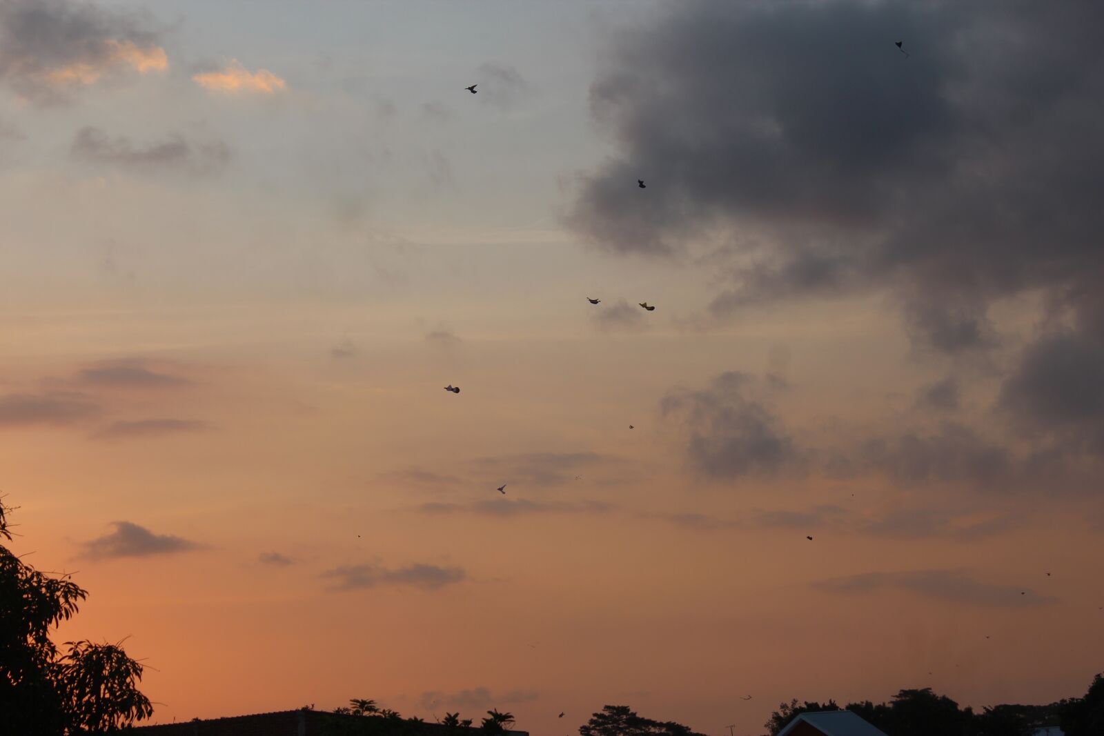 Canon EOS 600D (Rebel EOS T3i / EOS Kiss X5) sample photo. The sky, star, cloud photography