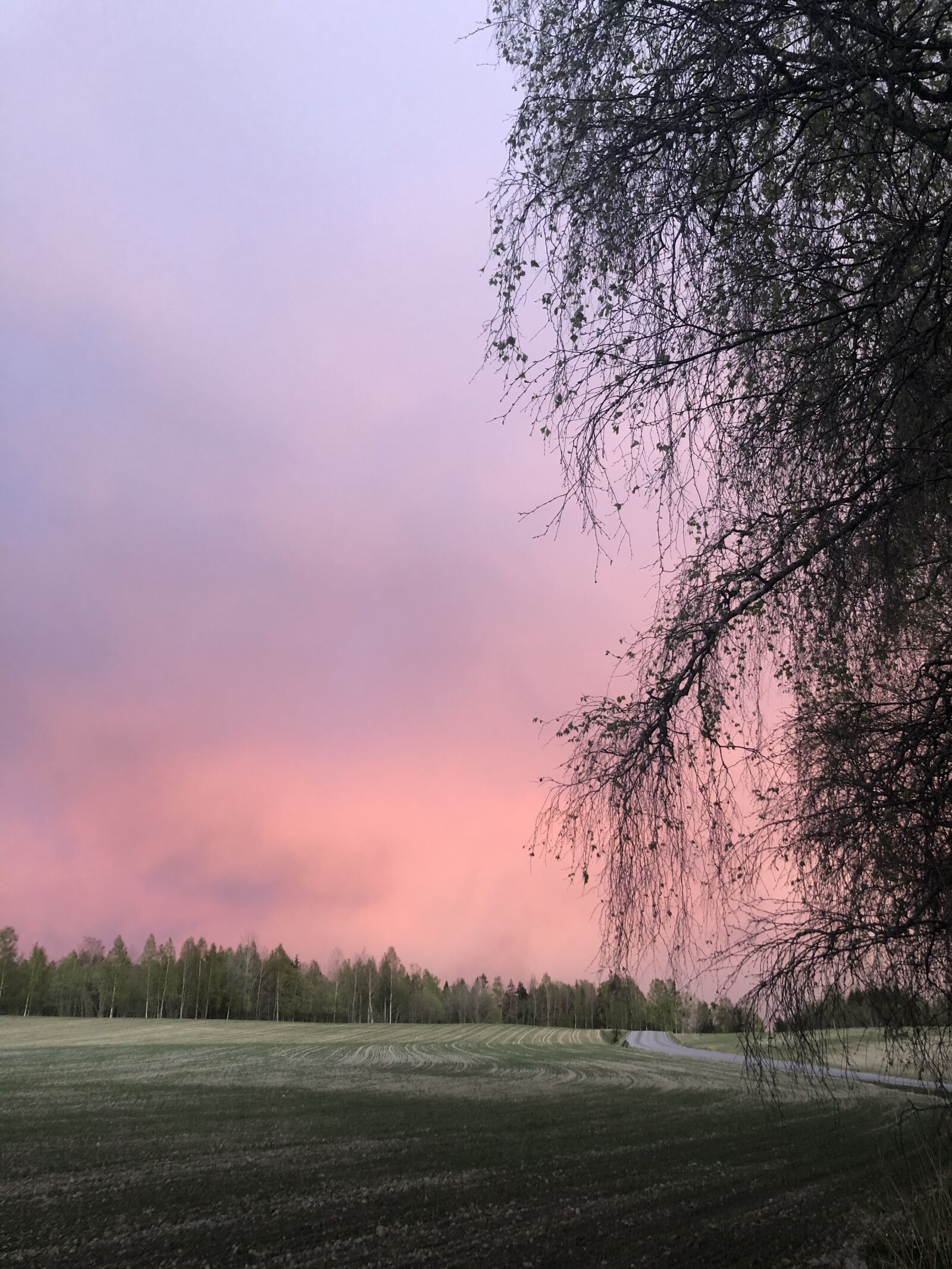 Apple iPhone 8 Plus sample photo. Sunset, sky, landliv photography