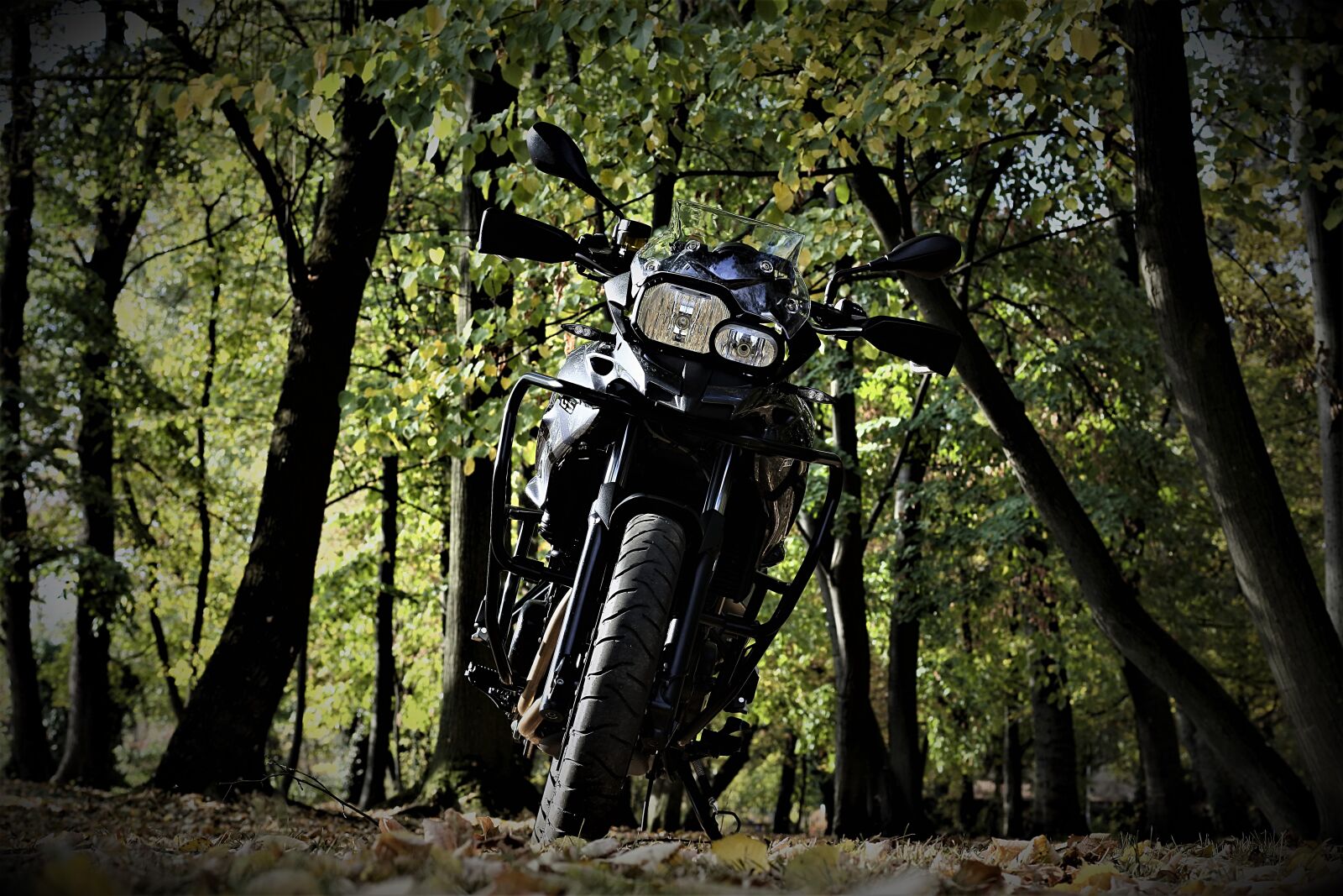 Nikon 1 J5 sample photo. Engine, bmw, f700gs photography
