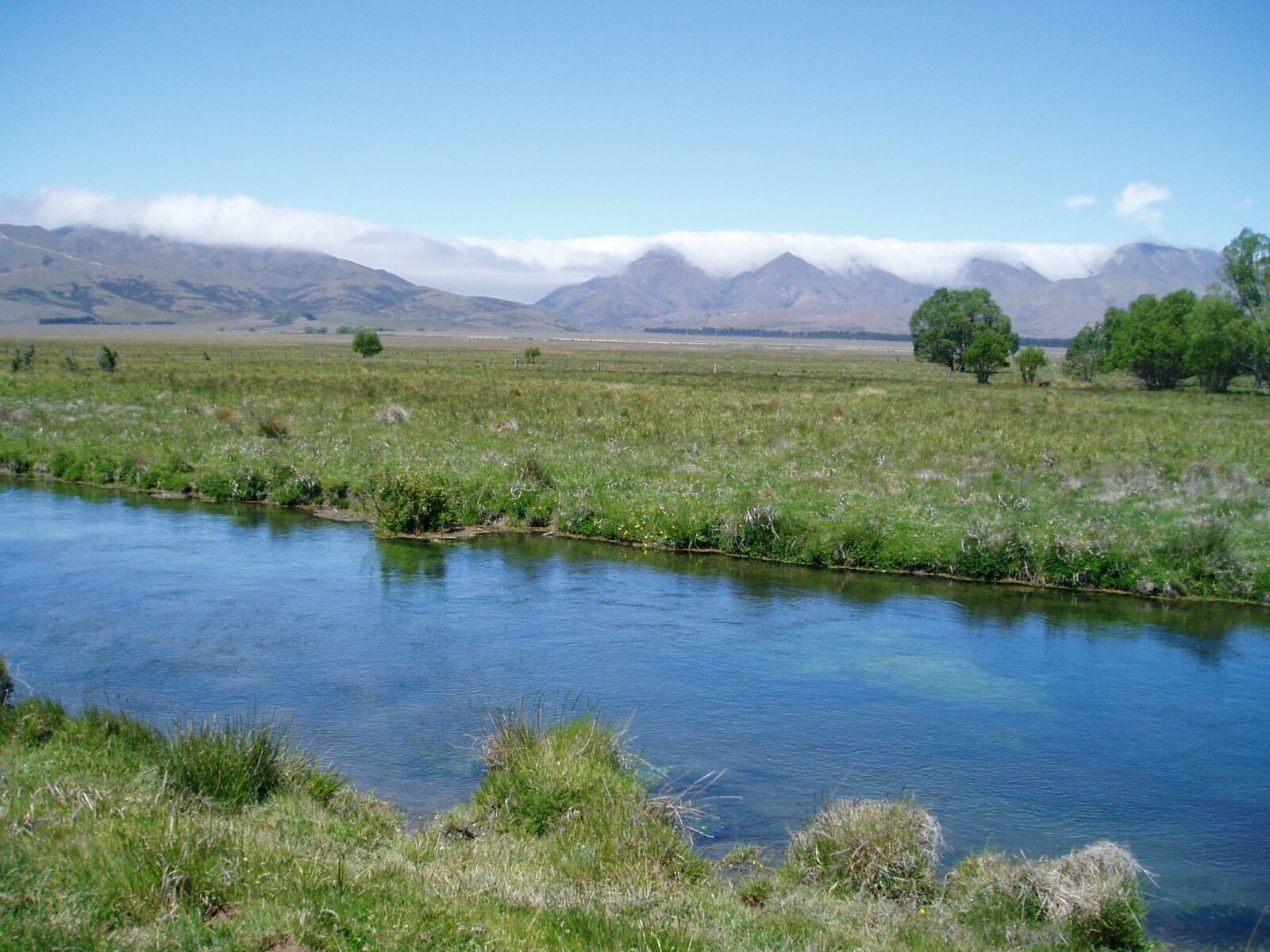 Olympus u10D,S300D,u300D sample photo. New, zealand, grays river photography