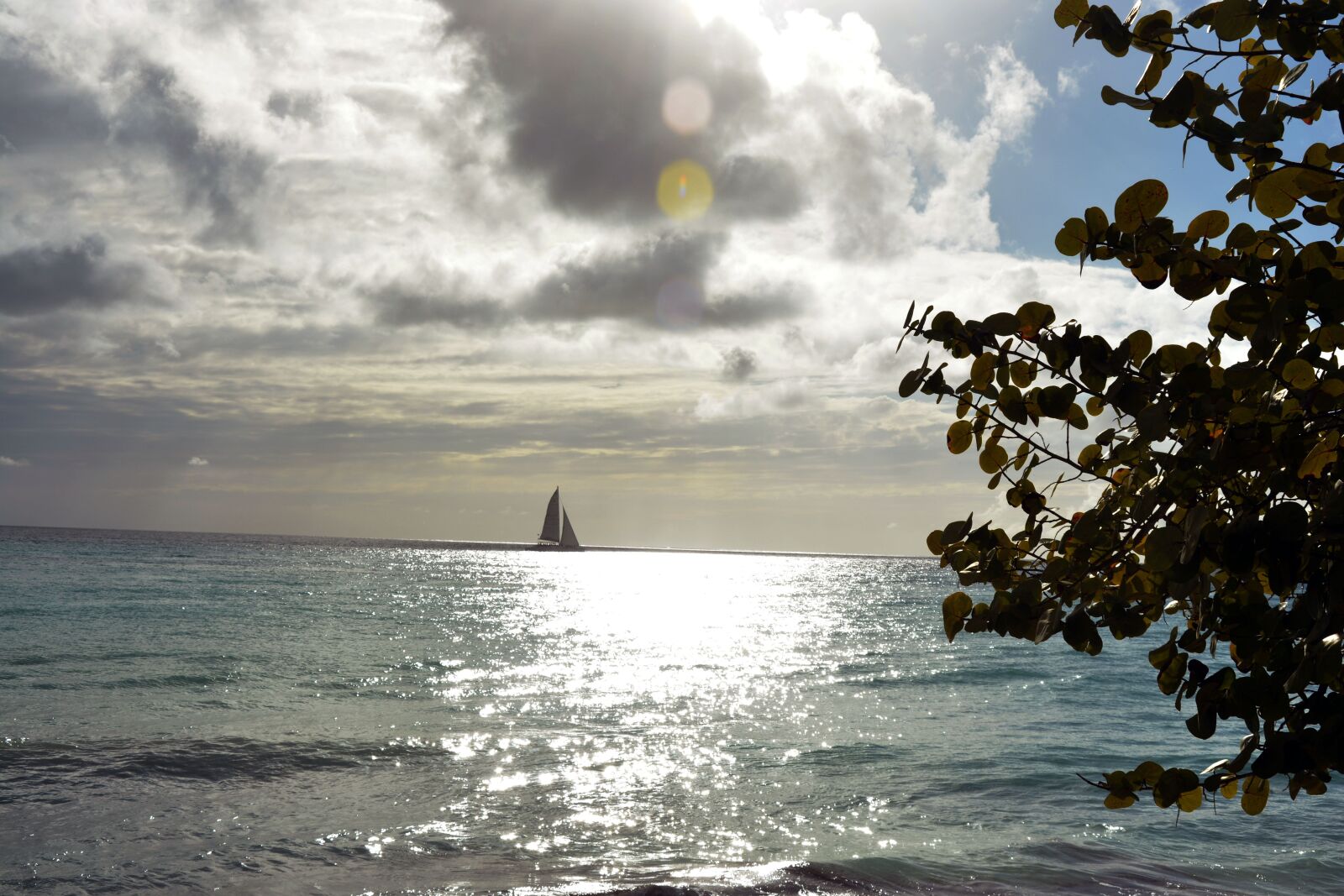 Nikon D7100 sample photo. Sea, trees, sailing photography